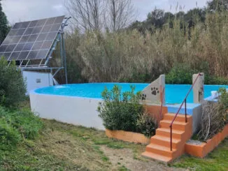 Piscina casa rural Mas Torrencito para perros