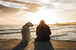 Hoteles que aceptan perros en la Costa Daurada