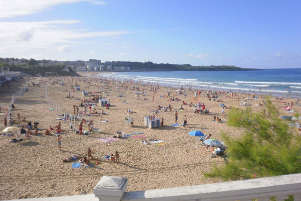 Hoteles que aceptan mascotas en la playa de Santander