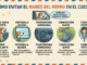 Viajar en coche con perro